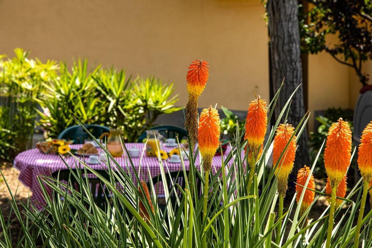 Casa Damiano Villa Chianni Buitenkant foto